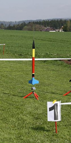 2013 Svojek Mirek Topinka